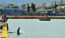 Τραγωδία στο λιμάνι του Πειραιά: Νεκρός ο οδηγός του ταξί που έπεσε στη θάλασσα