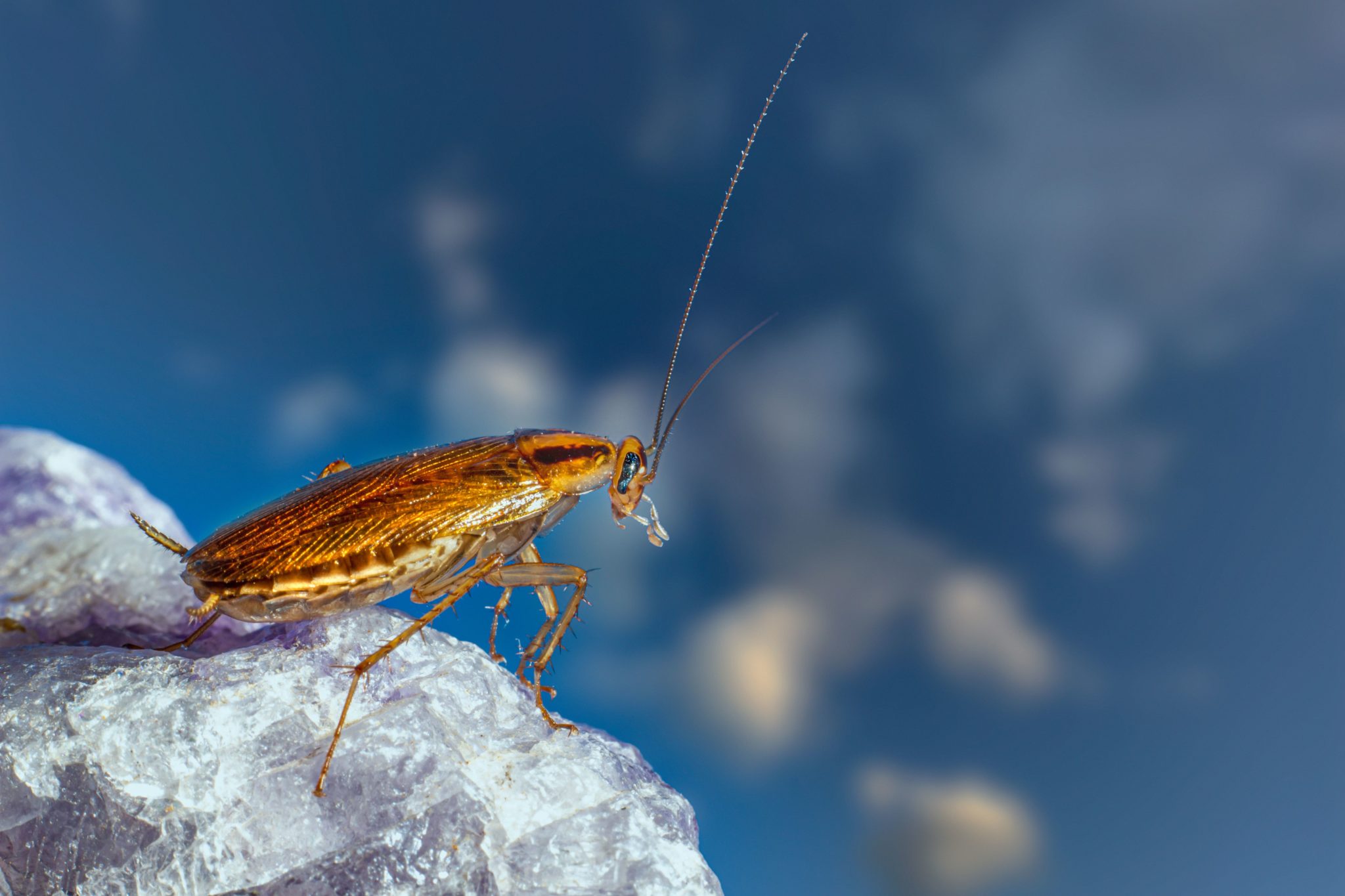 Φωτογραφία: Pexels