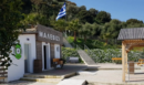 Κρήτη: Σοκ από τον θάνατο της 43χρονης - Το έγγραφο που εξετάζεται, τι υποστήριξε ο πρόεδρος του σκοπευτικού ομίλου