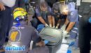 Ταϊλάνδη: Συνελήφθη Αυστραλός για τη δολοφονία 17χρονης που βρέθηκε νεκρή μέσα σε βαλίτσα ΒΙΝΤΕΟ