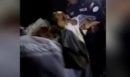 Θαύμα στη Βενεζουέλα: Διασώθηκε ζωντανό παιδί 3 ετών έπειτα από 6 ημέρες κάτω από τα συντρίμμια