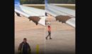 Βίντεο: Μέλισσες «κατέλαβαν» το φτερό ενός αεροσκάφους και καθυστέρησαν την πτήση