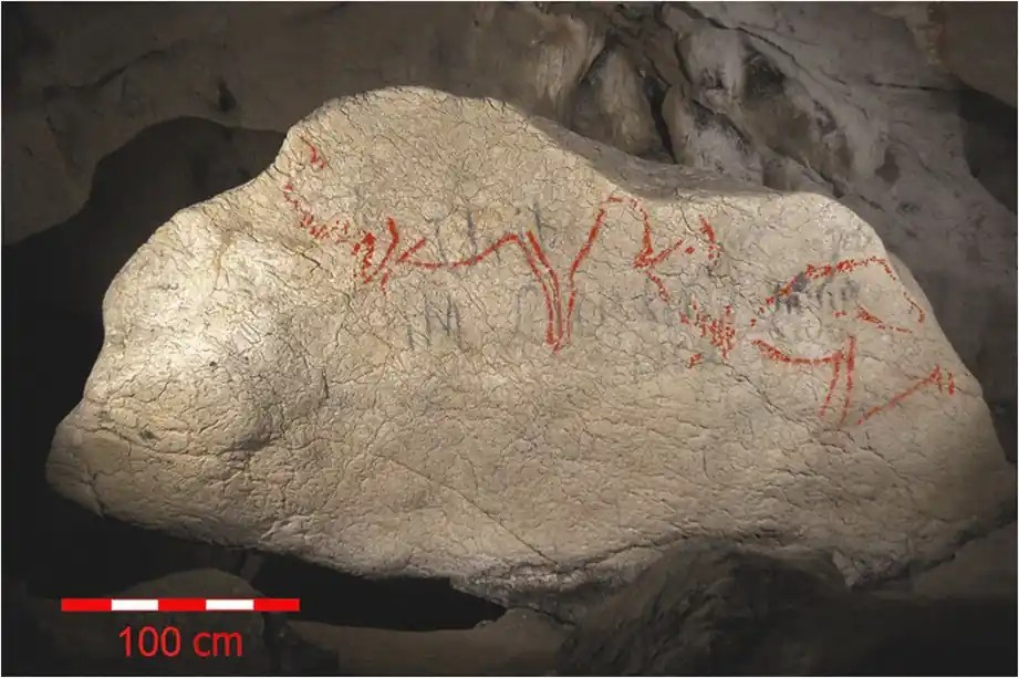 Πάνελ «Lum.D.II» από το σπήλαιο Λουμεντσά (Λεκέιτιο, Χώρα των Βάσκων), το οποίο φέρει δύο μορφές βισώνων (Lum.D.II.01 και 02) με κατεύθυνση προς τα αριστερά και ένα κεφάλι αλόγου (Lum.D.II.03) με κατεύθυνση προς τα δεξιά, αποτυπώνοντας τις αντίθετες κατευθυντήριες προτιμήσεις που έχουν τεκμηριωθεί για αυτά τα είδη στη μαγδαλένια τέχνη των σπηλαίων. Αυτή η διάταξη προσφέρει ένα σαφές οπτικό παράδειγμα της επαναλαμβανόμενης αντίθεσης που παρατηρείται τόσο σε περιφερειακές όσο και σε υπερπεριφερειακές αναλύσεις, βάσει των οποίων οι βίσωνες τείνουν να είναι στραμμένοι προς τα αριστερά και τα άλογα προς τα δεξιά. Φωτογραφία: Garate κ.ά. 2013 / I. Intxaurbe 2026 