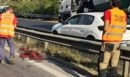 Χαϊδάρι: Το πρώτο τροχαίο με αγριογούρουνο στην εθνική Αθηνών - Κορίνθου - Οι περιοχές που χρειάζεται προσοχή από τους οδηγούς