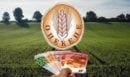 ΟΠΕΚΕΠΕ: Ένοχοι από το Εφετείο Πλημμελημάτων δύο βασικοί κατηγορούμενοι για την υπόθεση των παράνομων επιδοτήσεων με επίκεντρο τα Γιαννιτσά
