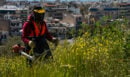 Οι «πρωταθλητές» στα ακαθάριστα οικόπεδα - Γιατί οι καταγγελίες εκτοξεύτηκαν