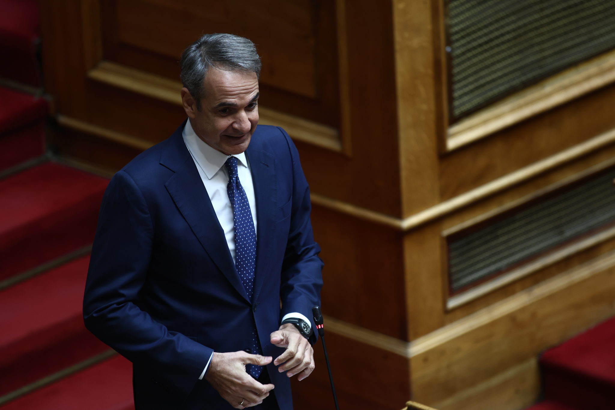 ΜΗΤΣΟΤΑΚΗΣ