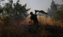Πυλαία: Η συγκλονιστική φωτογραφία εποχικού πυροσβέστη να παλεύει μόνος με τις φλόγες με «όπλο» το χιτώνιό του – «Αυτοθυσία και θάρρος»