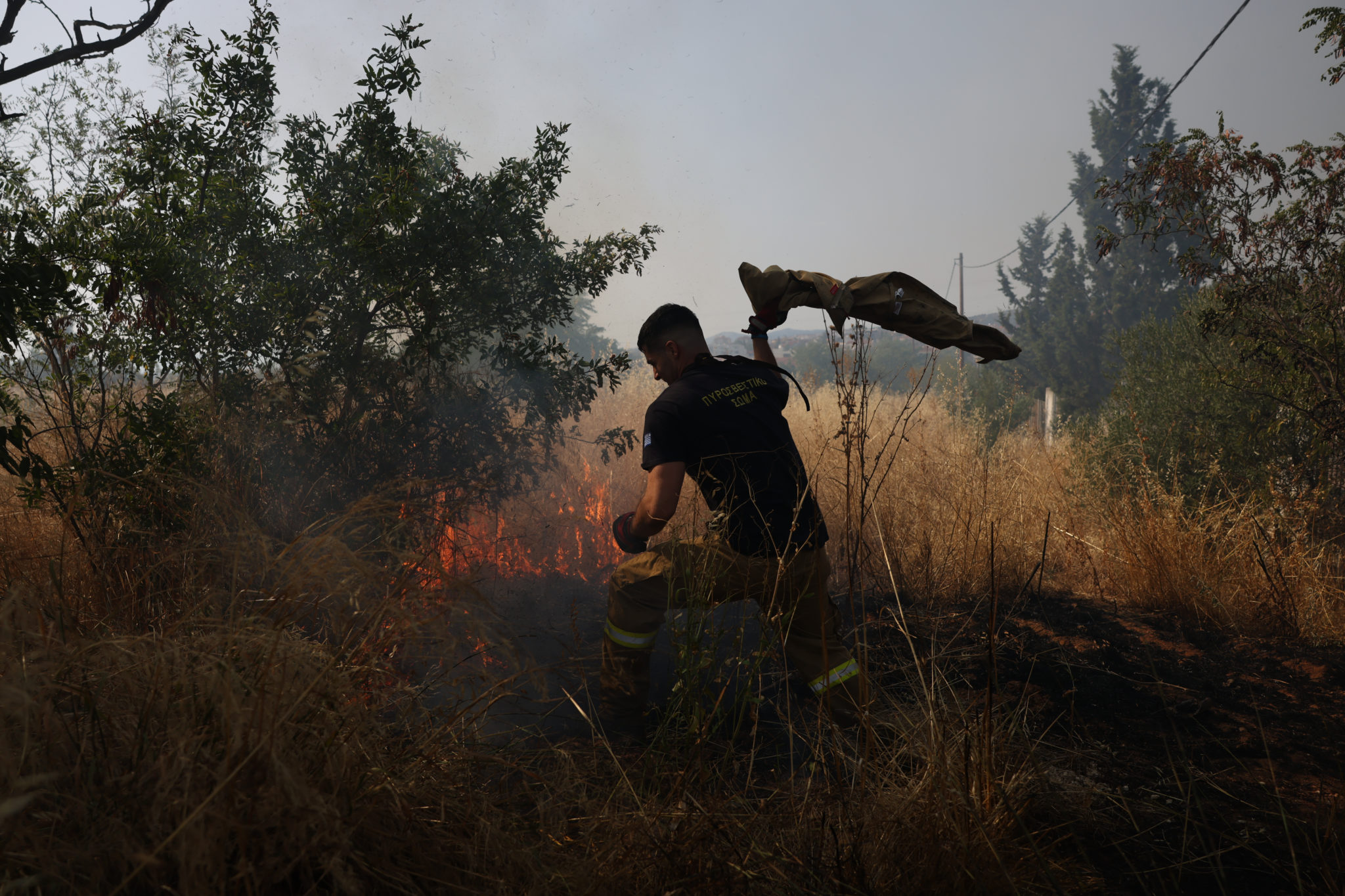ΠΥΡΚΑΓΙΑ ΣΕ ΧΑΜΗΛΗ ΒΛΑΣΤΗΣΗ ΝΟΤΙΑ ΤΗΣ ΠΥΛΑΙΑΣ ΘΕΣΣΑΛΟΝΙΚΗΣ