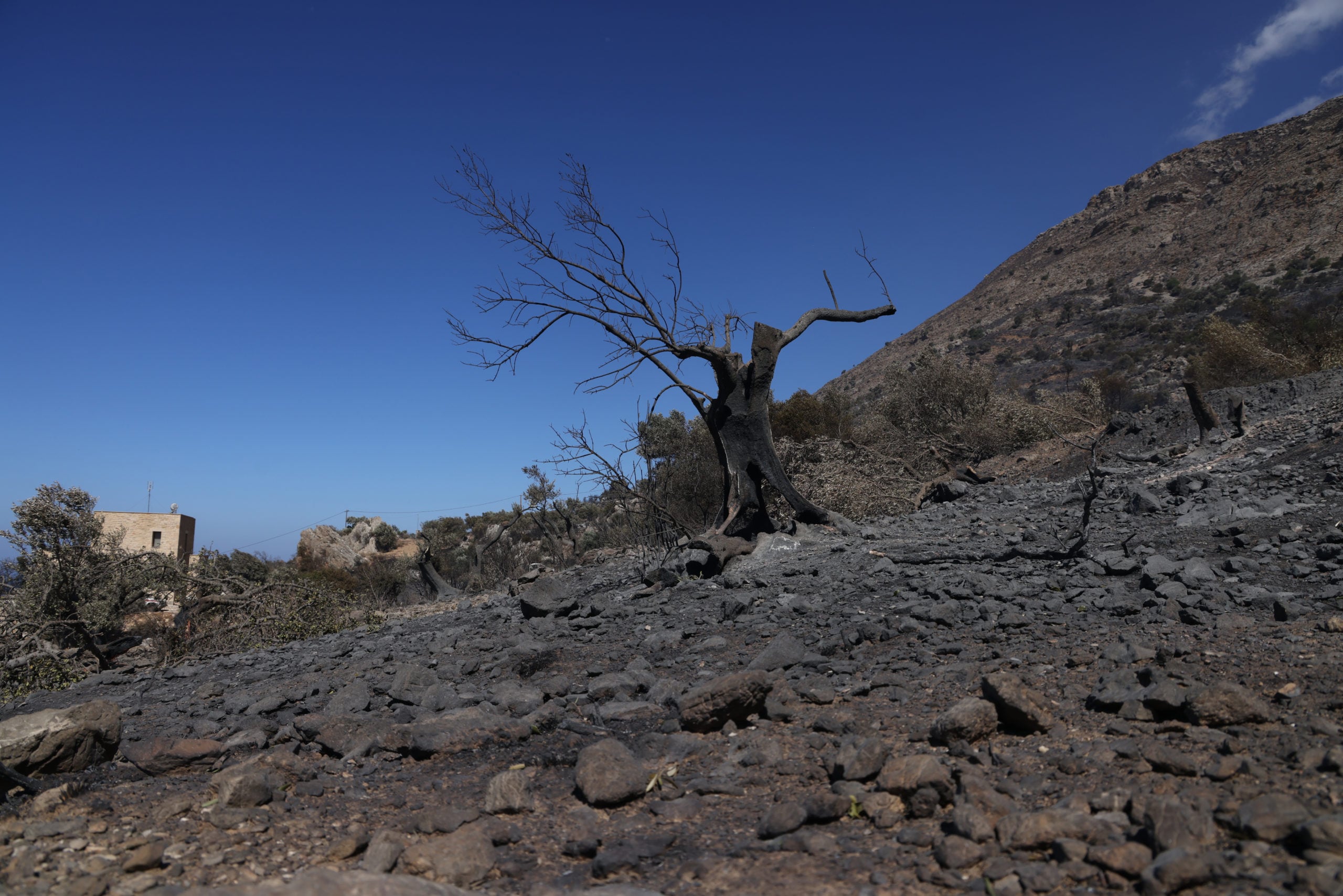 ΡΕΘΥΜΝΟ ΦΩΤΙΑ