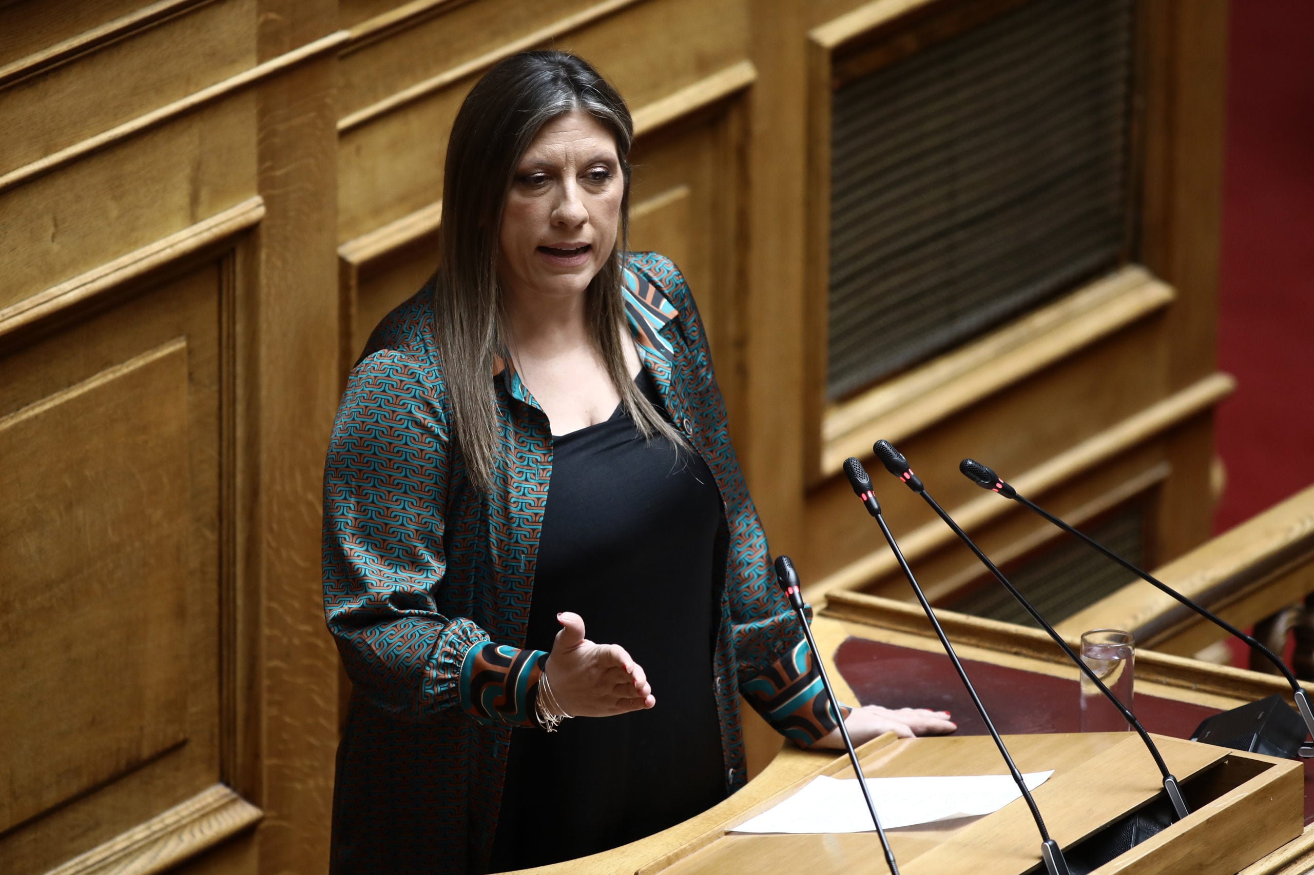 Βουλή: Η Ζωή Κωνσταντοπούλου και η διόρθωση για το ρήμα ανάγω – «Καλό είναι να μάθετε την γλώσσα»