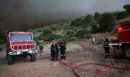 Φωτιά στη Βοιωτία: Βίντεο ντοκουμέντο από το «σημείο μηδέν» - Τι την προκάλεσε – Στον εισαγγελέα δύο συλληφθέντες