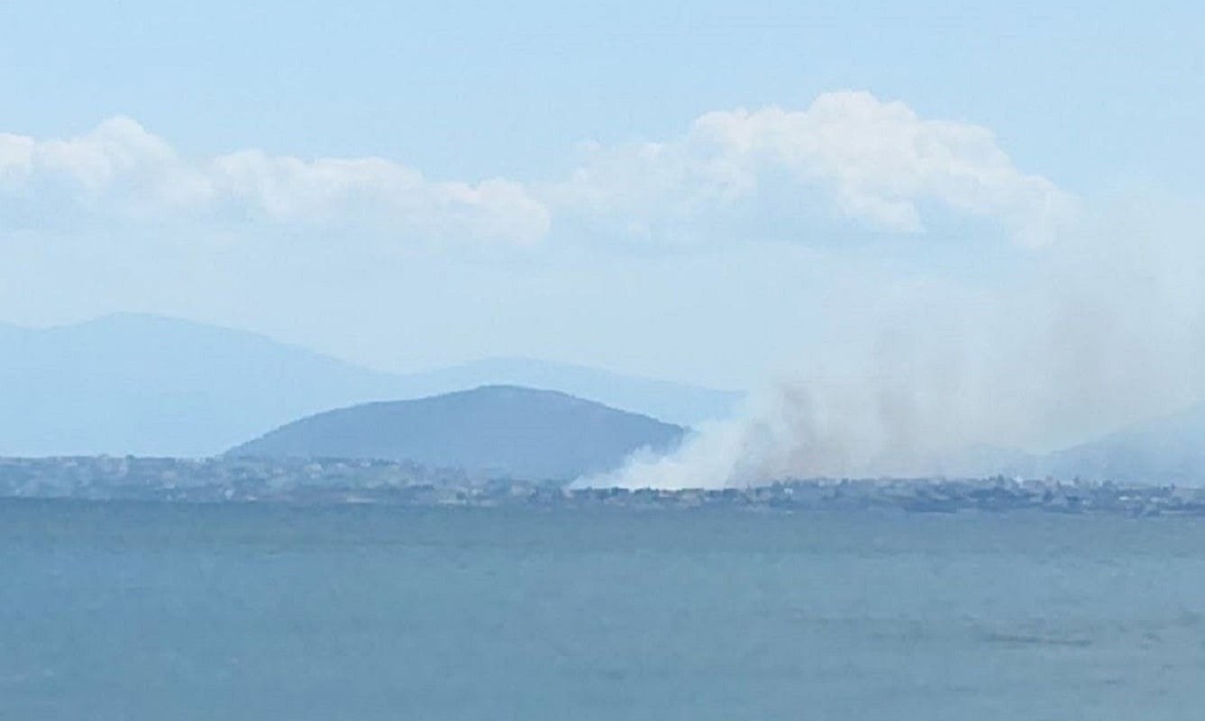 Φωτιά στην Εύβοια