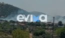 Εύβοια: Οι πρώτες εικόνες από την φωτιά που καίει στο Αλιβέρι