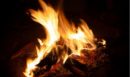 Πήλιο: Χωρίς ενεργό μέτωπο η φωτιά στο Νεοχώρι - Παραμένουν οι δυνάμεις στο σημείο