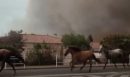 Συγκλονιστικές εικόνες στη Γαλλία: Άφησαν ελεύθερα τα άλογα για να τα σώσουν από τις φλόγες - ΒΙΝΤΕΟ