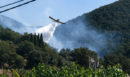 Μεσσηνία: Σε ύφεση η φωτιά στο Βλαχόπουλο - Δείτε βίντεο