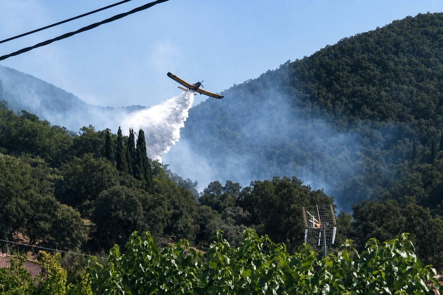 Μεσσηνία: Σε ύφεση η φωτιά στο Βλαχόπουλο – Δείτε βίντεο