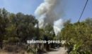 Σαλαμίνα: Οι πρώτες εικόνες από την φωτιά που καίει δασική έκταση στα Σελήνια