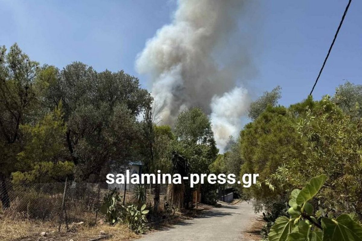 Σαλαμίνα: Οι πρώτες εικόνες από την φωτιά που καίει δασική έκταση στα Σελήνια