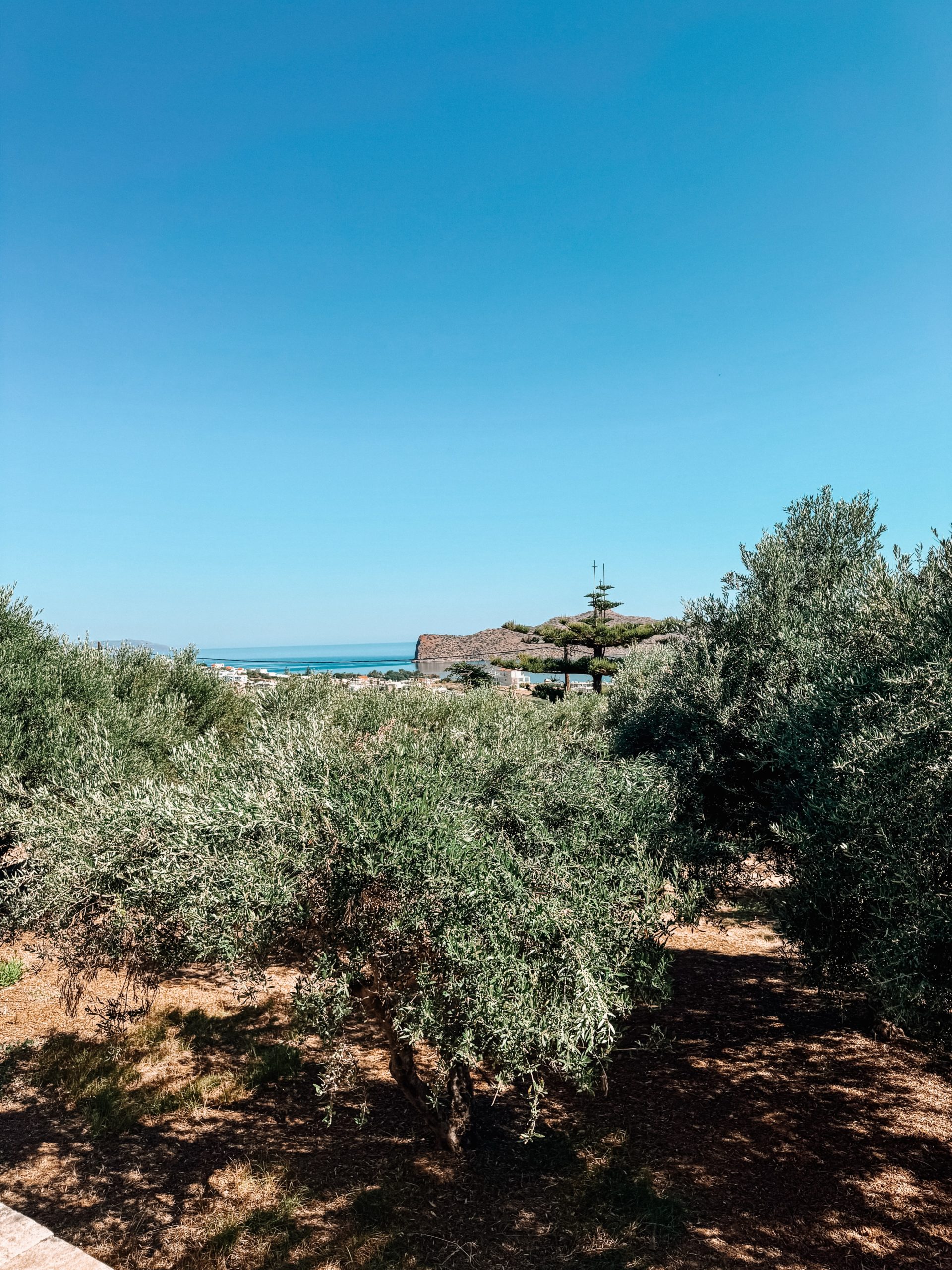 Μαρία Ηλιάκη