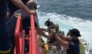 Βοιωτία: Ενισχύθηκαν οι επίγειες δυνάμεις στη φωτιά στο Καλαμάκι - Δυσκολίες στην επιχείρηση των εναέριων μέσων λόγω ανέμων