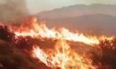 Ισπανία: Έξι νεκροί από δασική πυρκαγιά κοντά στην Αλμερία