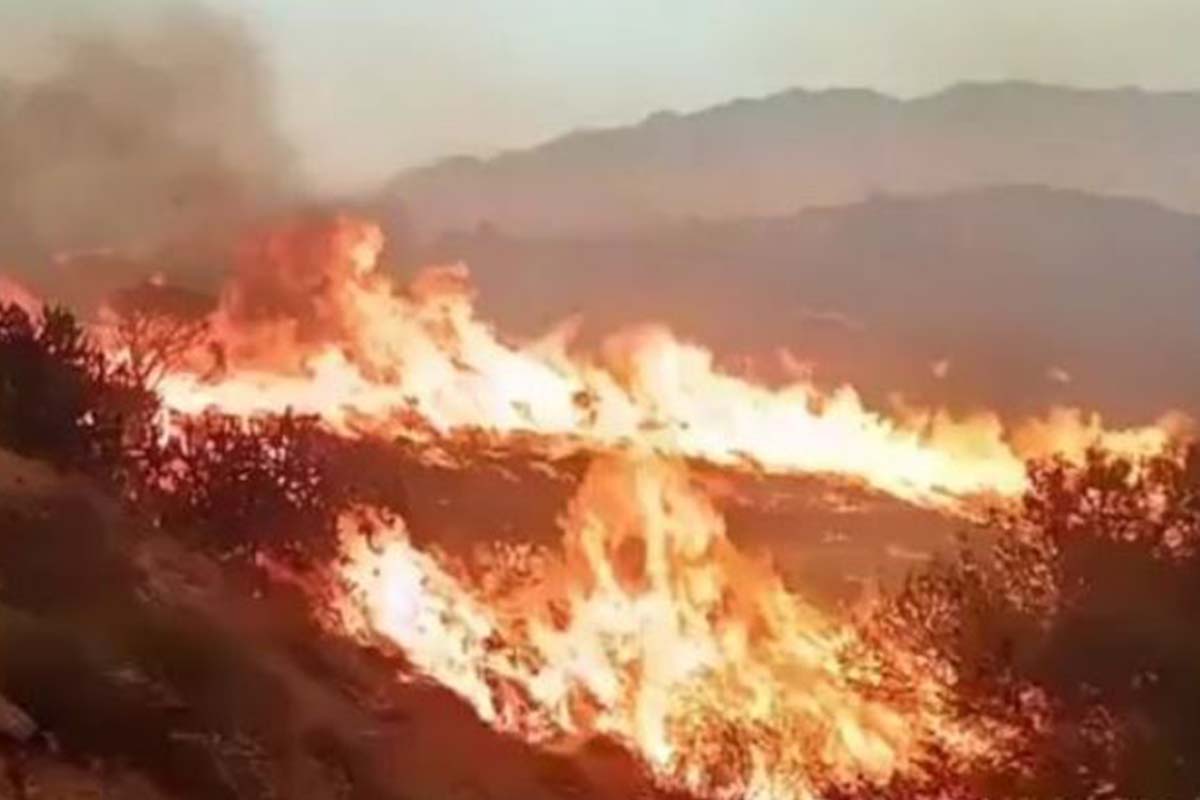 Ισπανία: Έξι νεκροί από δασική πυρκαγιά κοντά στην Αλμερία