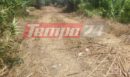 Αντίρριο: Ανθρωποκυνηγητό για τον δράστη που εμβόλισε περιπολικό - Πυροβόλησαν τα λάστιχα του οχήματός του οι αστυνομικοί - ΒΙΝΤΕΟ - ΦΩΤΟ