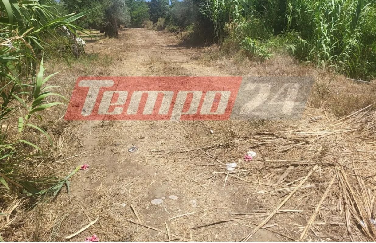 Αντίρριο: Ανθρωποκυνηγητό για τον δράστη που εμβόλισε περιπολικό – Πυροβόλησαν τα λάστιχα του οχήματός του οι αστυνομικοί – ΒΙΝΤΕΟ – ΦΩΤΟ
