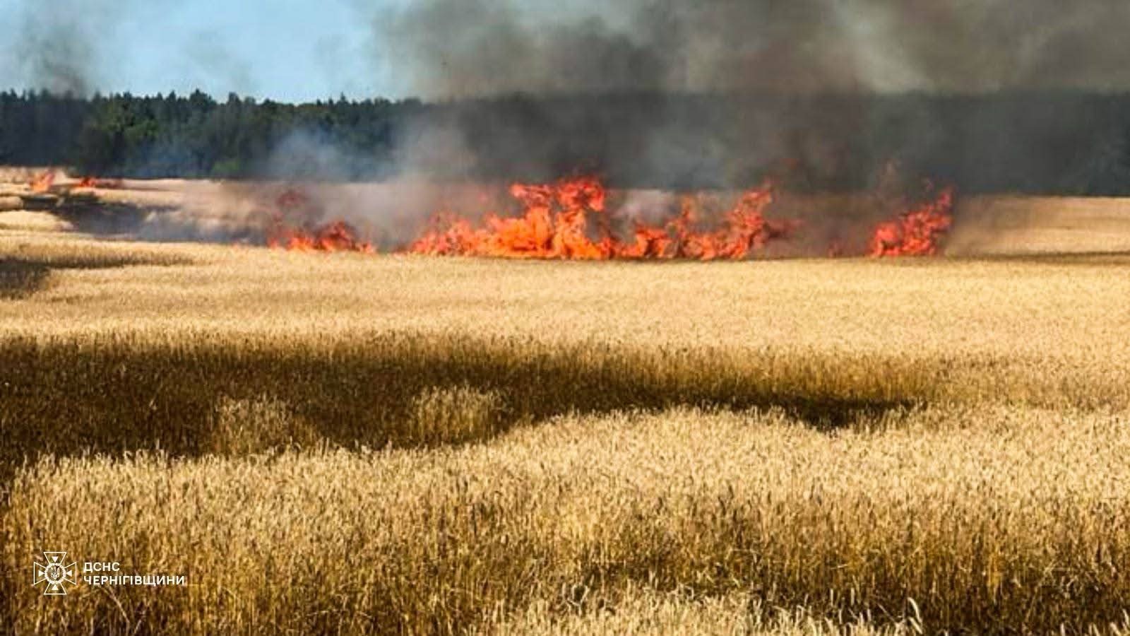 Πυρκαγιά σε καλλιέργεια σιτηρών μετά από ρωσική επίθεση στην περιφέρεια του Τσερνίχιβ.Πηγή: Κρατική Υπηρεσία Εκτάκτων Αναγκών της περιφέρειας Τσερνίχιβ.