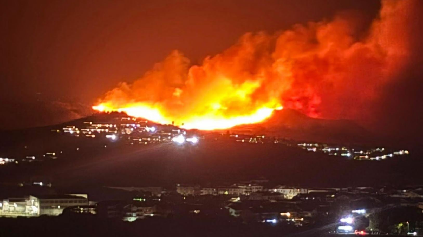 Φρίκη στην Ιταλία: Εμπρηστές έδεναν φλεγόμενα πανιά σε γάτες για να εξαπλώσουν τις φωτιές στην Καλαβρία