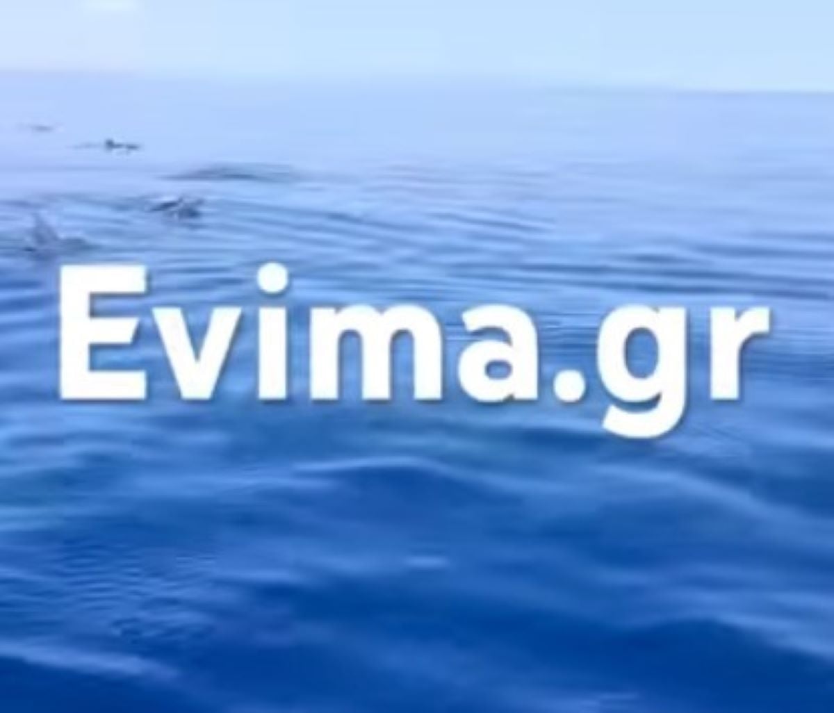 Εντυπωσιακό θέαμα στην Εύβοια: Κοπάδι δελφινιών εμφανίστηκε σε παραλία – Δείτε βίντεο