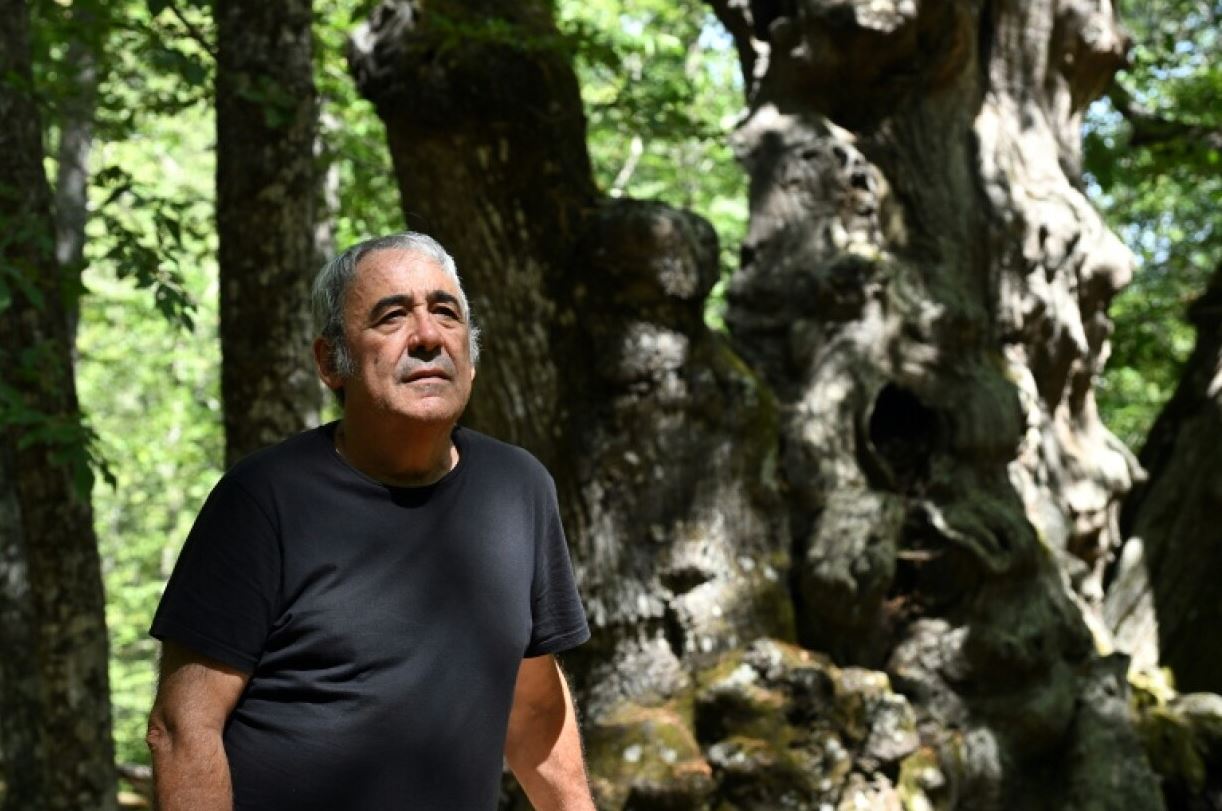 Ο Χαβιέρ Γκαρθία ήταν ένας από τους κατοίκους που συμμετείχαν στη διάσωση της υπεραιωνόβιας καστανιάς «El Abuelo», ηλικίας άνω των 500 ετών. Φωτογραφία: Javier Soriano/AFP.