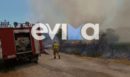 Φωτιά στο Αλιβέρι: Ήχησε το 112 - Εκκενώνεται η περιοχή Προφήτης Ηλίας