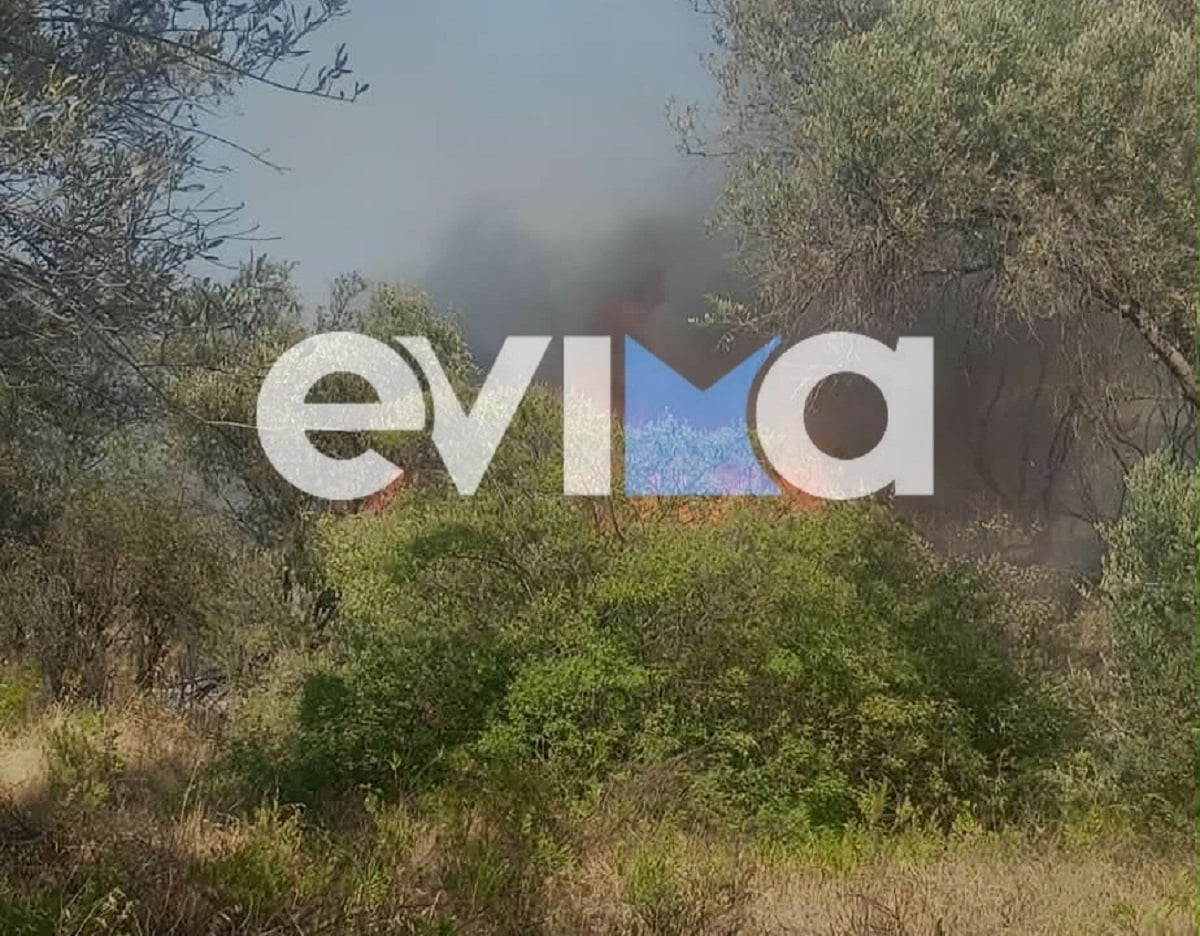 Φωτιά στην Εύβοια: Σηκώθηκαν και εναέρια μέσα – Δείτε φωτογραφίες και βίντεο