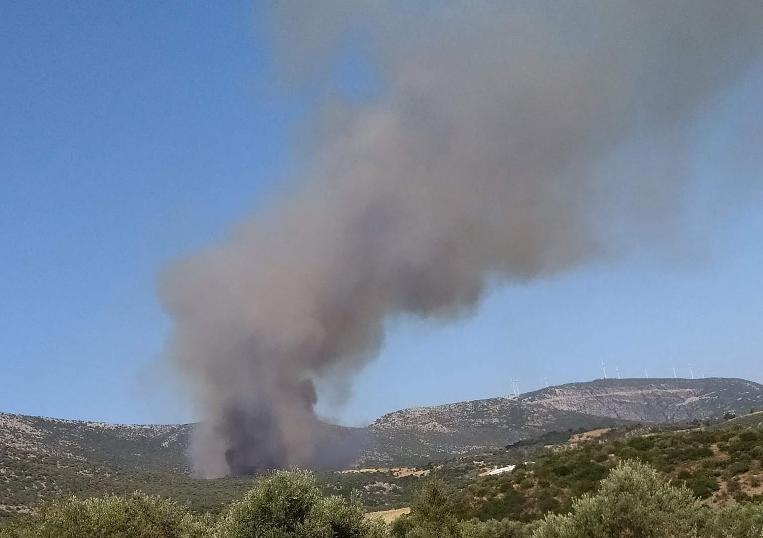 Φωτιά στην Αγία Ελένη Τροιζηνίας: Νέο μήνυμα από το 112 – «Απομακρυνθείτε προς Άνω Φανάρι»