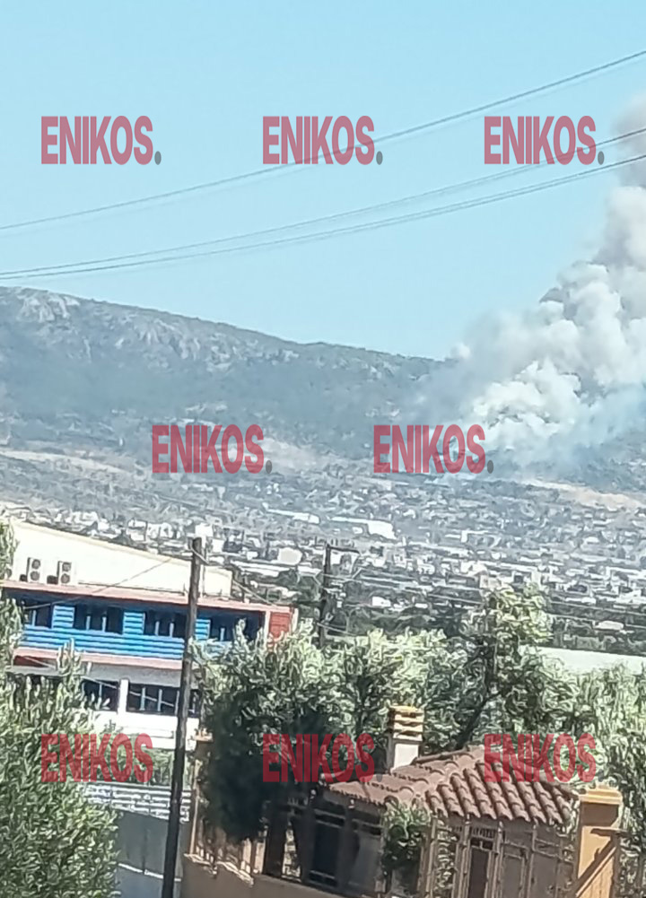 Φωτιά στην Περιφερειακή Αιγάλεω