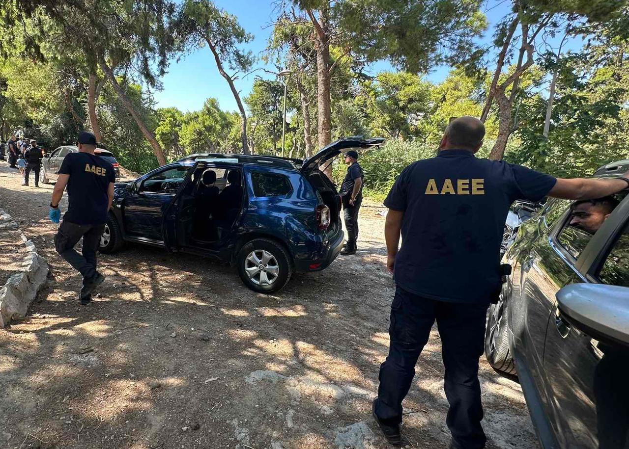 Φωτιά, Πάρκο Γουδή, συλλήψεις
