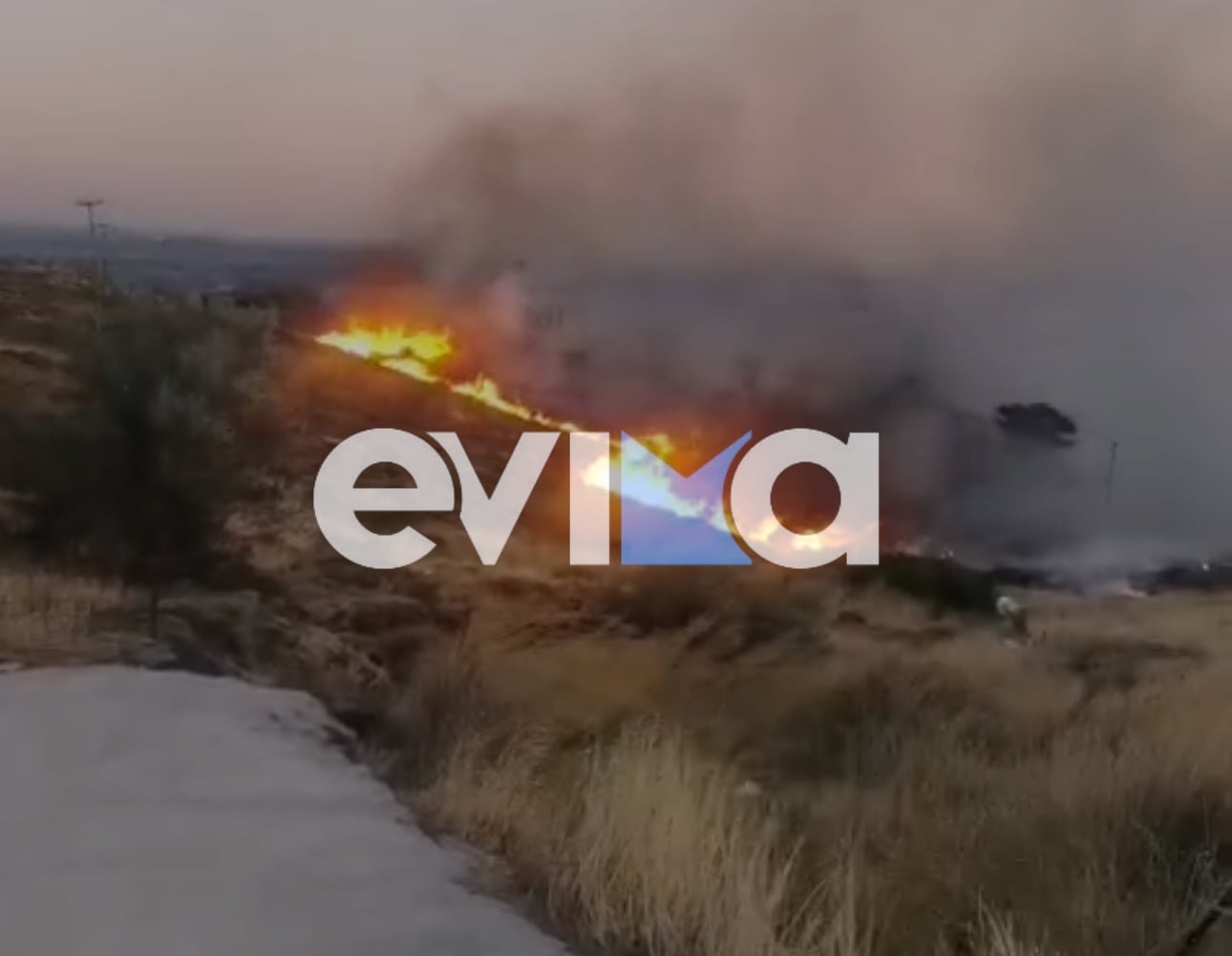 Φωτιά στον Αετό Καρύστου: Κοντά σε κατοικίες οι φλόγες – Μήνυμα του 112 για απομάκρυνση