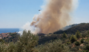 Φωτιά στο Πλωμάρι Λέσβου - Ήχησε το 112 για εκκένωση