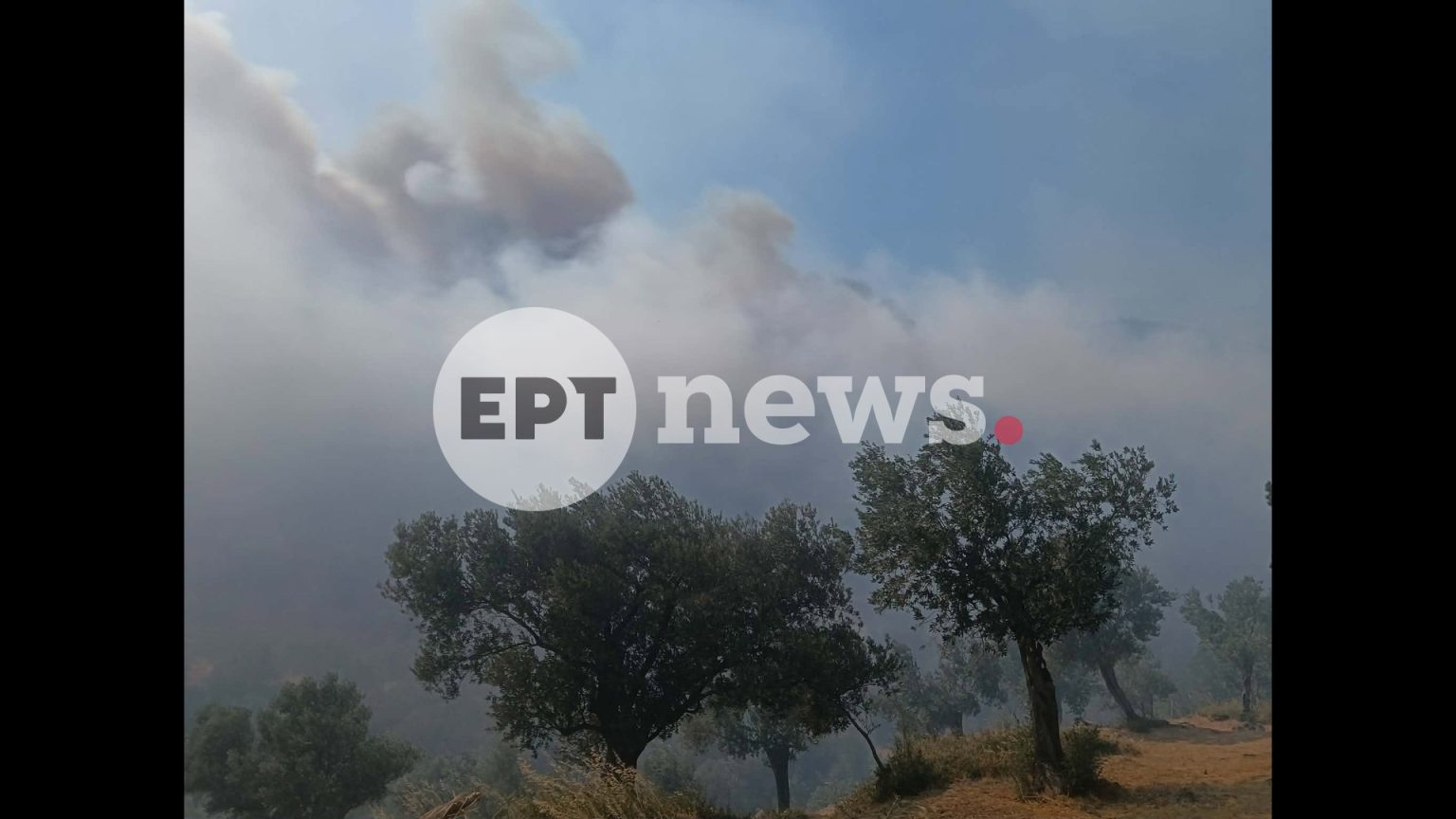 Φωτιά, Πλωμάρι, Λέσβος