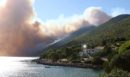 Πυροσβεστική: Ενεργά 73 πύρινα μέτωπα, πιο δύσκολες οι φωτιές στη Βοιωτία - Απομακρύνθηκαν 254 πολίτες στον Άγιο Βασίλειο