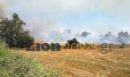 Σέρρες: Οριοθετημένη και χωρίς ενεργό μέτωπο η φωτιά στην Οινούσσα - Δύο προσαγωγές