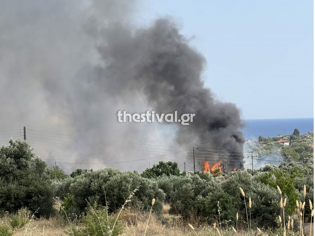 Φωτιά στη Χαλκιδική: Ενισχύθηκαν οι πυροσβεστικές δυνάμεις – «Καίγονται σπίτια, είναι πολύ δύσκολη η κατάσταση», λένε αντιδήμαρχοι