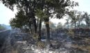 Γαλλία: Έγιναν στάχτη 115.000 εκτάρια από τις πυρκαγιές, στους 88 οι τραυματίες πυροσβέστες
