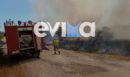 Φωτιά στο Αλιβέρι: «Οι φλόγες είναι 300 μέτρα από τα σπίτια» λέει ο αντιδήμαρχος Περιβάλλοντος στο enikos.gr