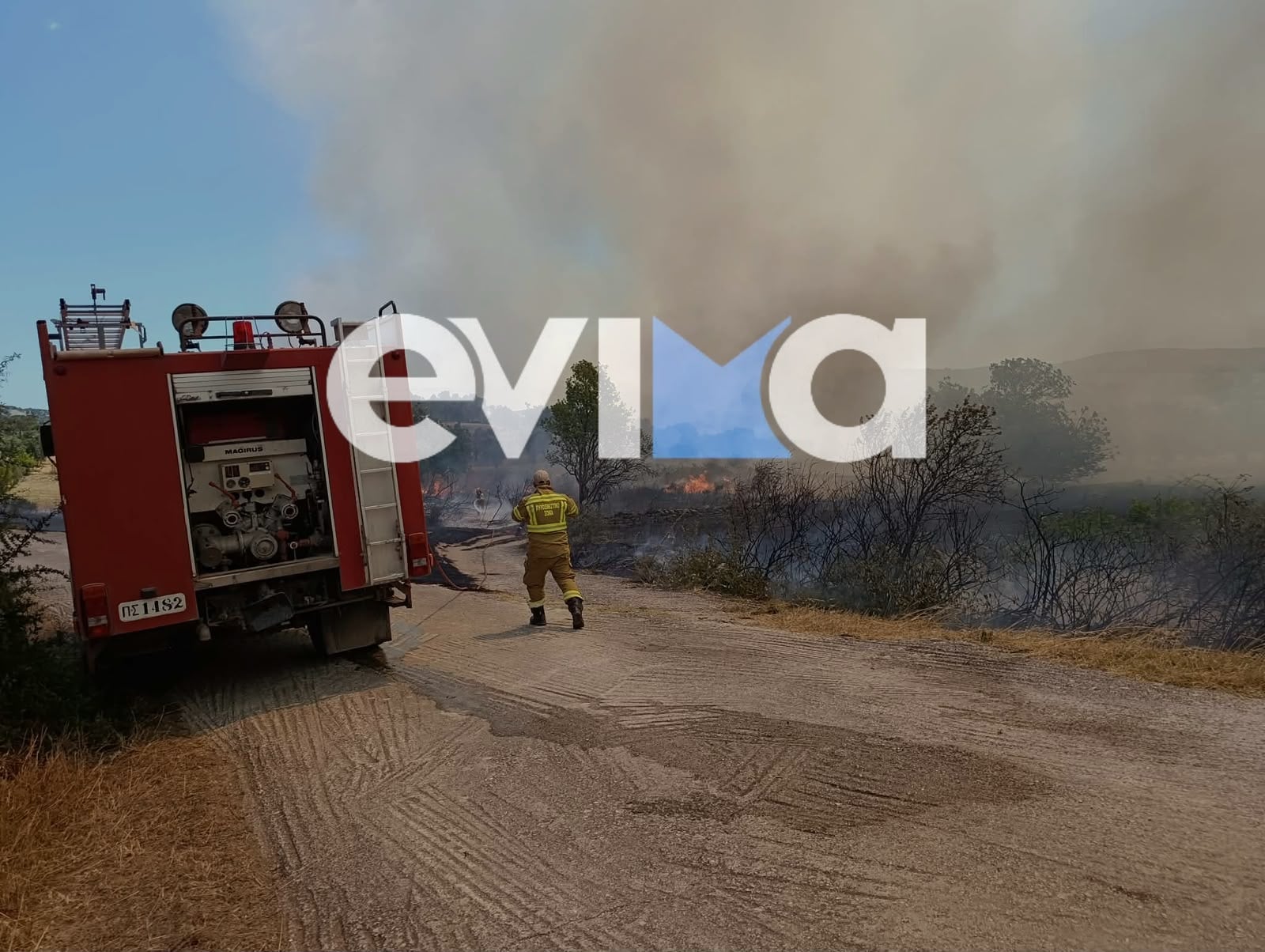 Φωτιά στο Αλιβέρι: «Οι φλόγες είναι 300 μέτρα από τα σπίτια» λέει ο αντιδήμαρχος Περιβάλλοντος στο enikos.gr