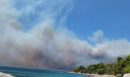 Μαίνεται η φωτιά στη Βοιωτία - Αποκαρδιωτικές εικόνες και βίντεο από το Πόρτο Γερμενό