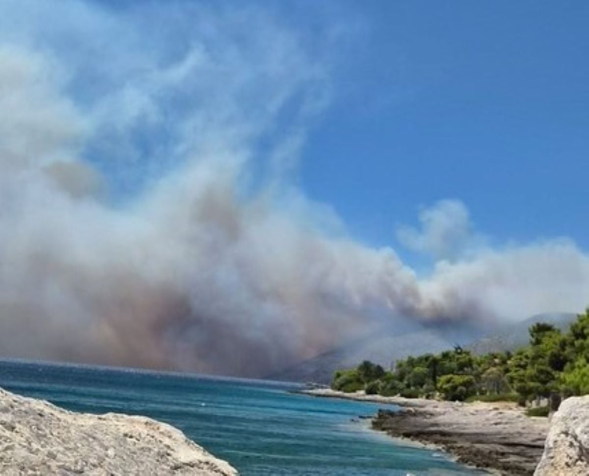 Μαίνεται η φωτιά στη Βοιωτία – Αποκαρδιωτικές εικόνες και βίντεο από το Πόρτο Γερμενό